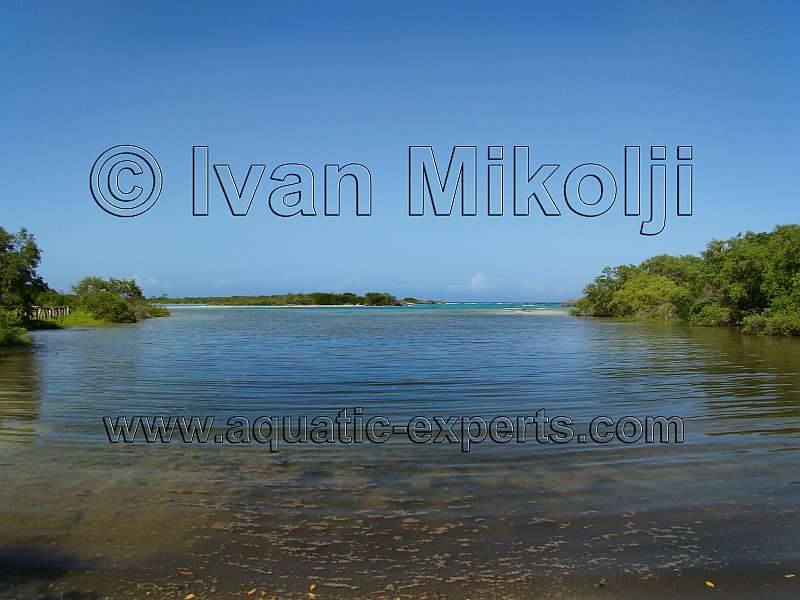 laguna cayo sombrero